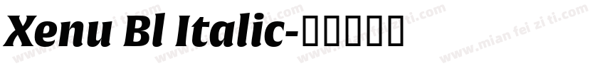 Xenu Bl Italic字体转换
